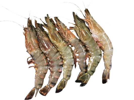 Jumbo Sea Prawns (Count 8 - 12) 1Kg