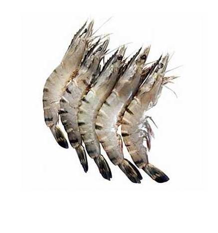 Jumbo Sea Prawns (Count 8 - 12) 1Kg