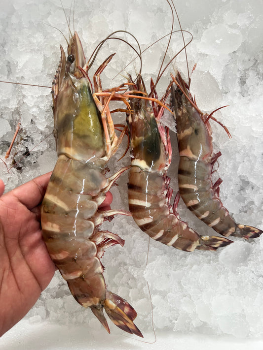 Jumbo Sea Prawns (Count 8 - 12) 1Kg