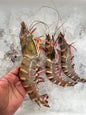 Fresh Prawns (Pick Size)