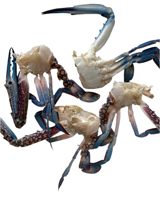 Fresh Cleaned Cut Crabs - Large size (1KG)