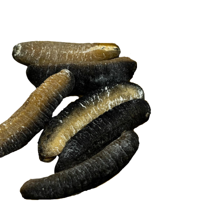 Dried Sandfish Sea Cucumber (1kg) – bringmaalu.lk