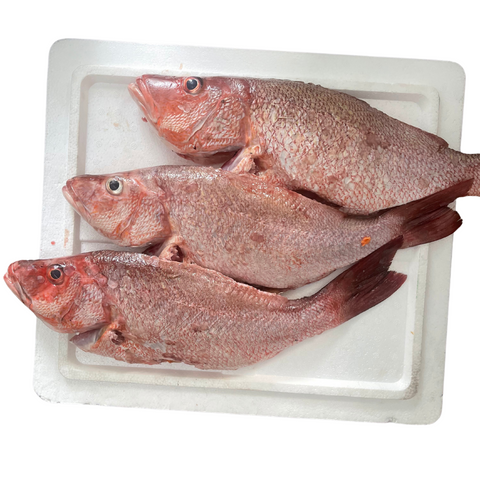 Fresh Cleaned Red Snapper (1KG)