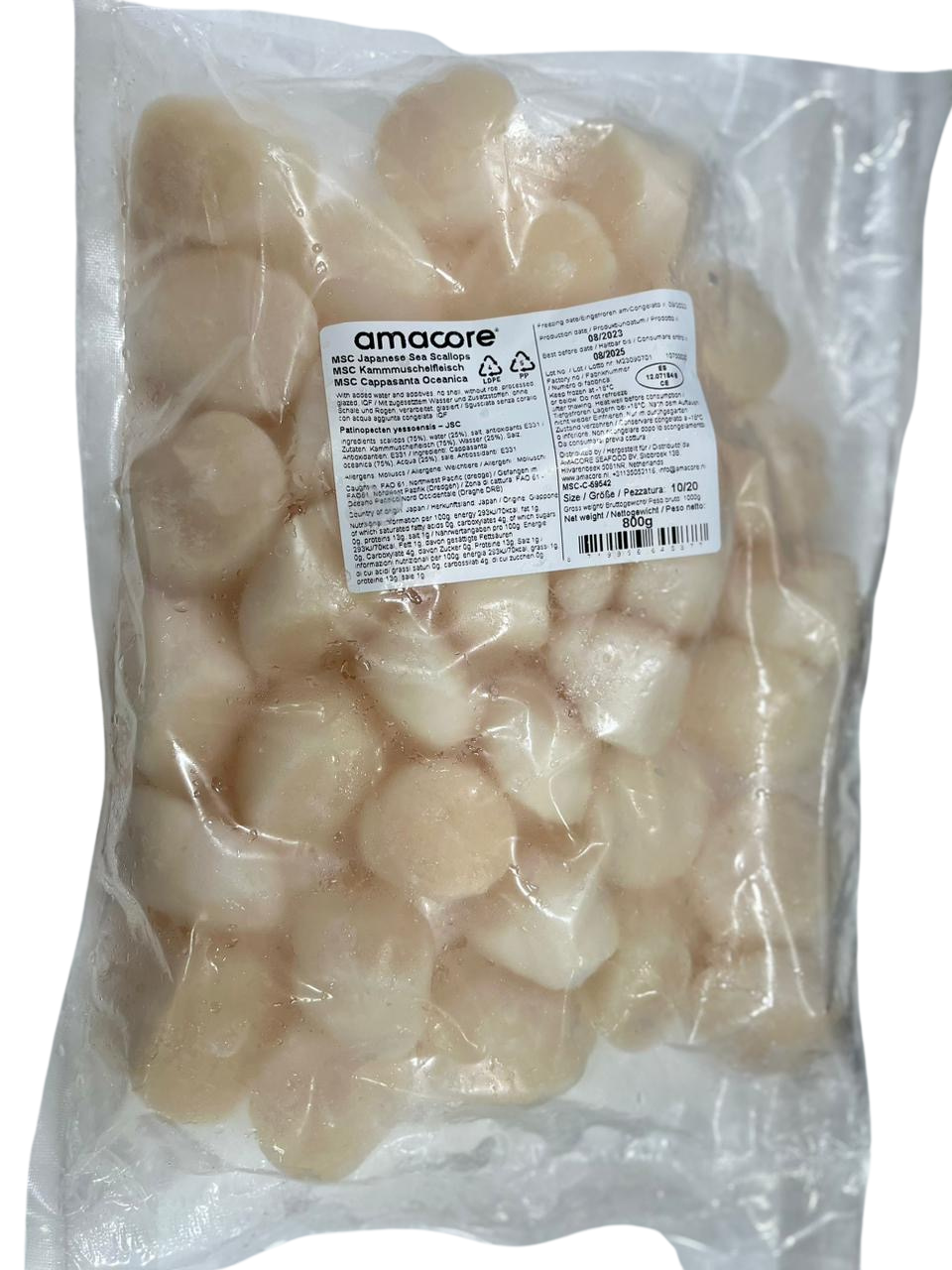 Scallops Kings Size (10-20)