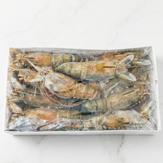U10 Lagoon Prawns Box (1KG)