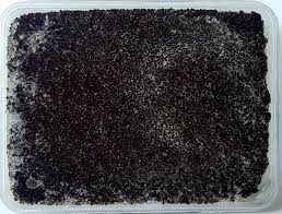 ISHIN Tobiko Flying Fish Roe Black 500g