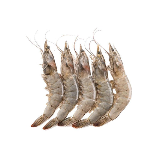 Medium Prawns Size 40 (1KG) - bringmaalu.com