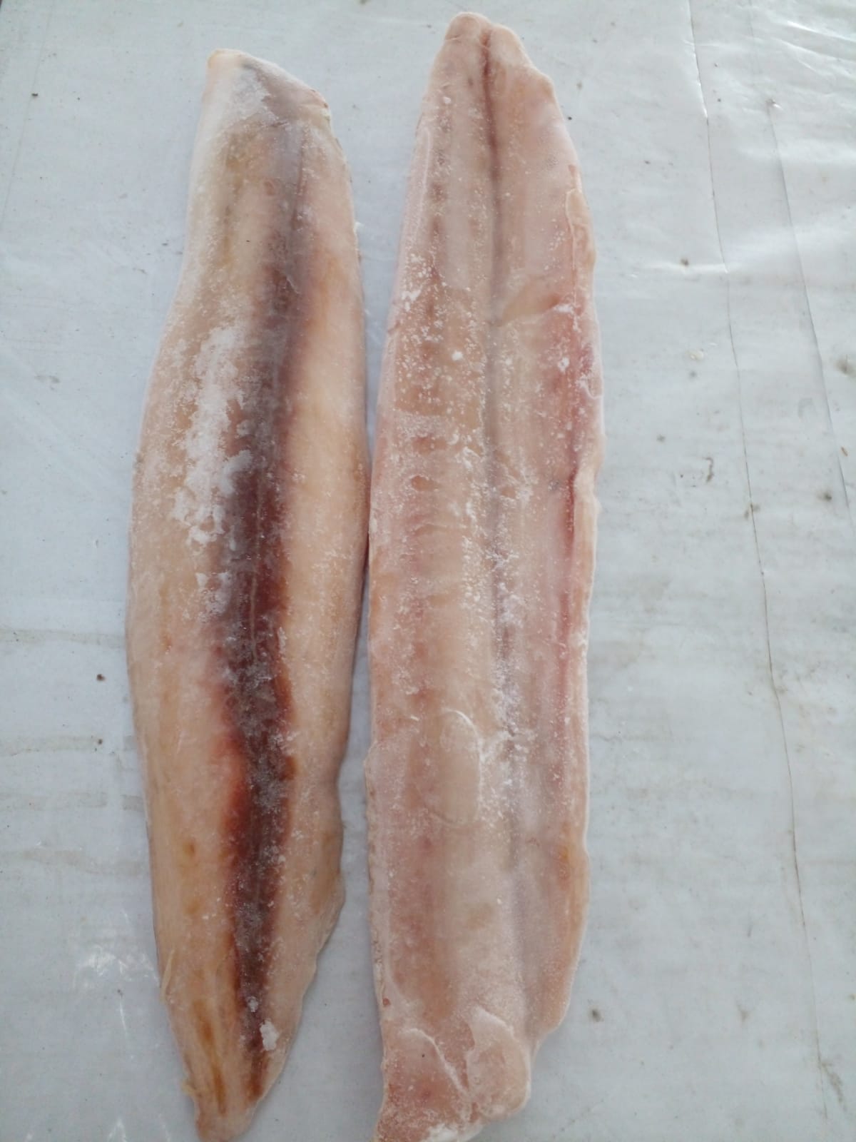 Frozen Paraw Fillet - Jack Fish (1kg)