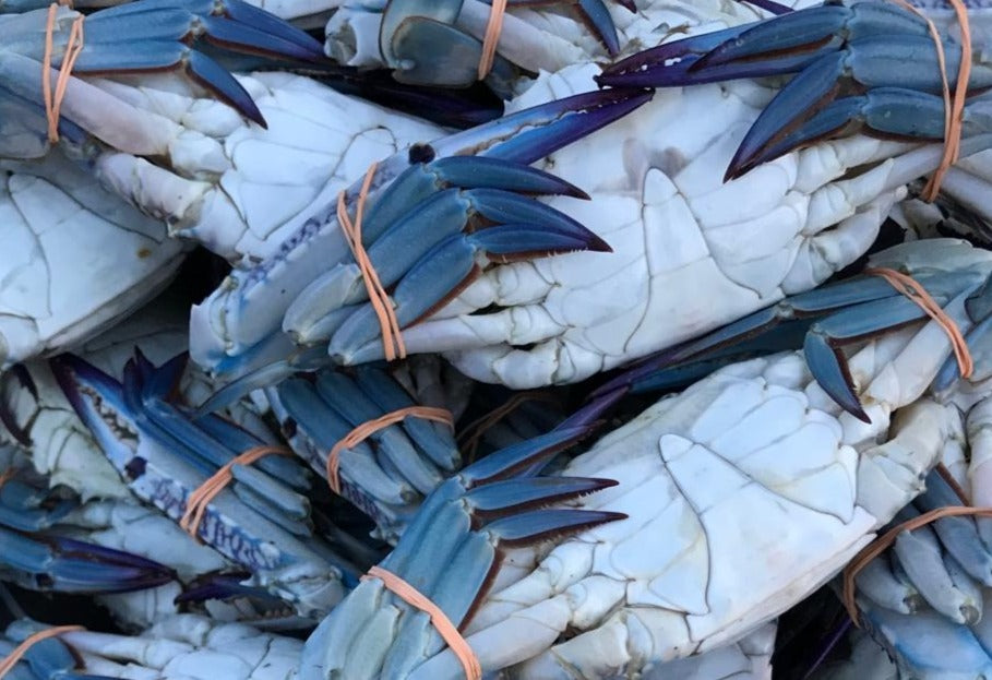Fresh Sea Crabs - Medium (3 or 5) 1kg – bringmaalu.lk