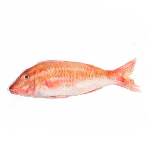 Fresh Cleaned Red Mullet - 1 kg