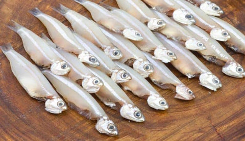 Fresh Fish – bringmaalu.lk