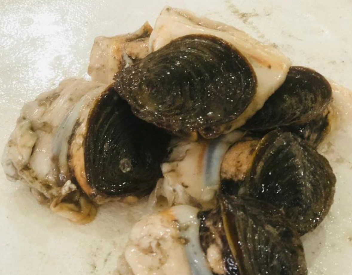 Shell Meat (Murex Meat) 1KG – bringmaalu.lk