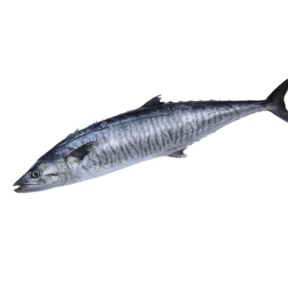Seer Fish