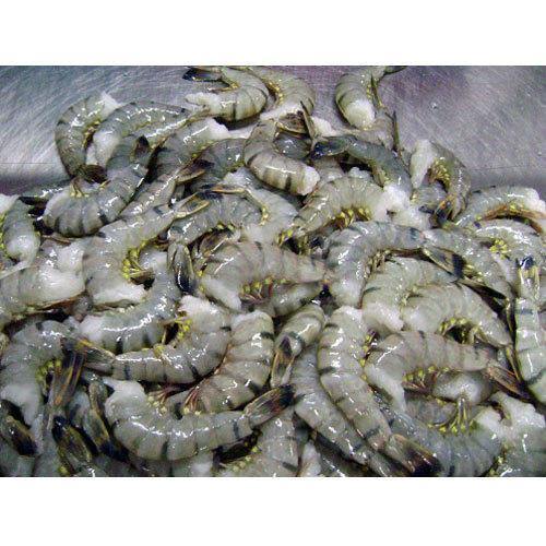 Medium Prawns Size 40 (1KG) - bringmaalu.com