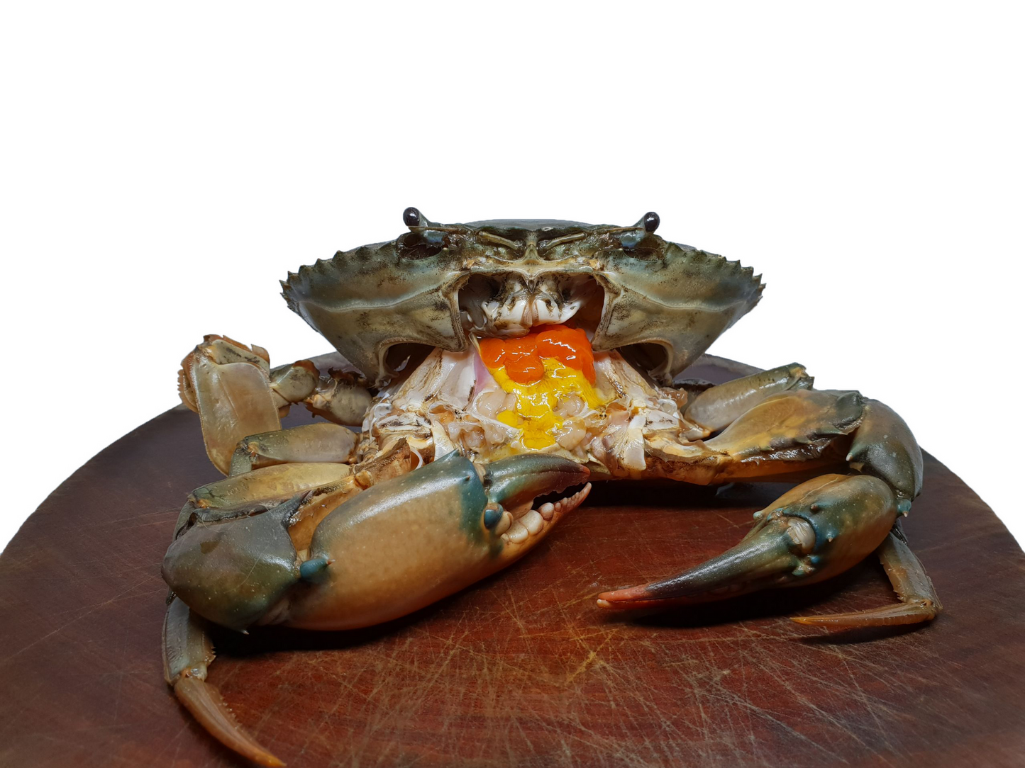 Mud Crab XXL (1KG-1.2KG Per Crab)