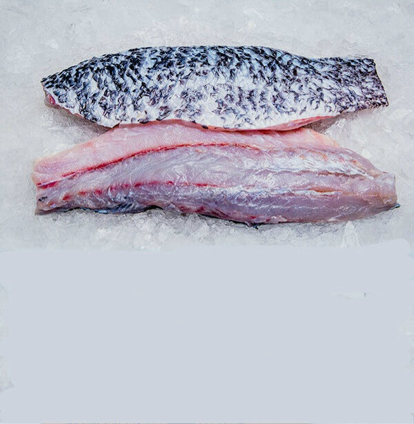 Fresh Barramundi - Modha ( 1 kg ) – bringmaalu.lk