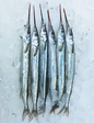 Fresh Cleaned Gar Fish - Habarali (1KG)