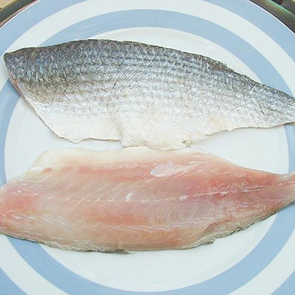 Fresh Gray Mullet Fillet (1KG)