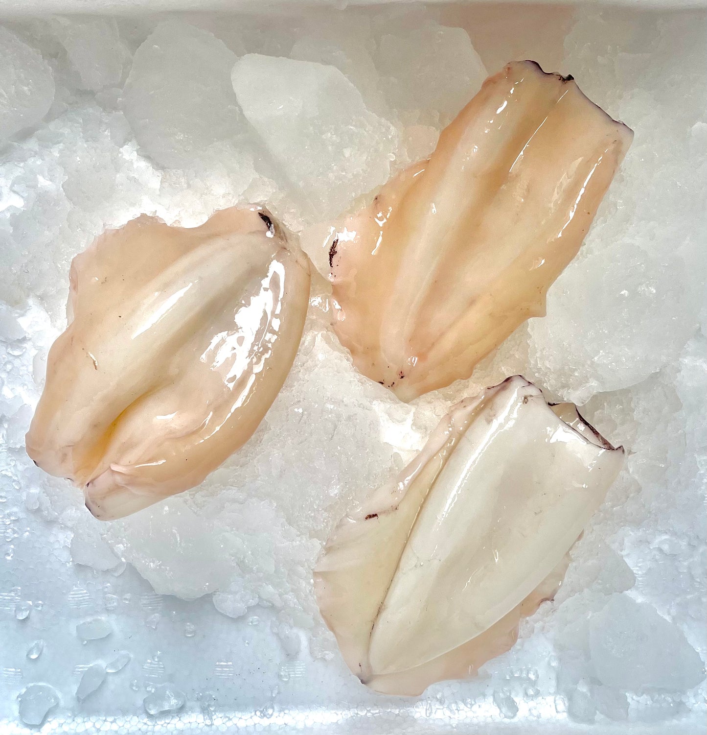 Fresh Cleaned Cuttlefish Cones (1KG)