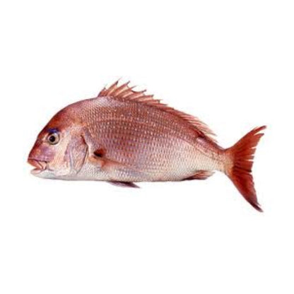 Fresh Cleaned Red Sea Bream (1KG)