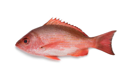 Fresh Cleaned Red Snapper (1KG)