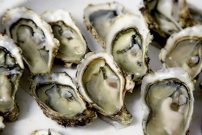 Oysters (1KG)