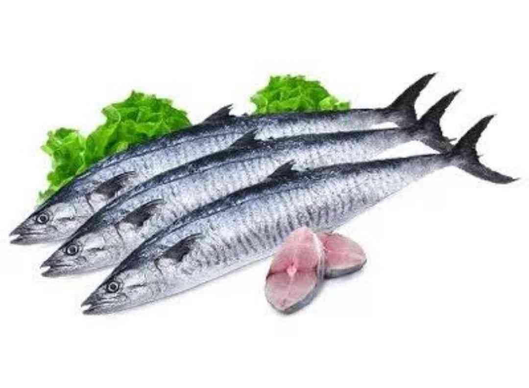 Seer Fish (1Kg) – bringmaalu.lk