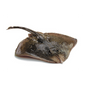 Fresh Maduwa - Skate fish (1kg)