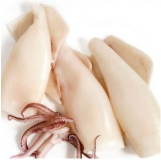 Fresh Cleaned Cuttlefish Cones (1KG)