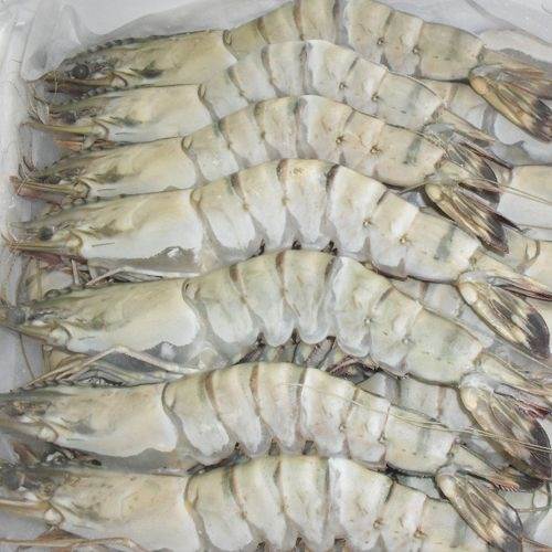 Frozen Jumbo Prawns Count 30 (1Kg)